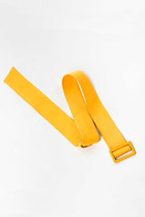 Ludlow Belt